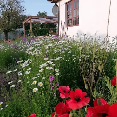 Black Sea House * Bozhanovo